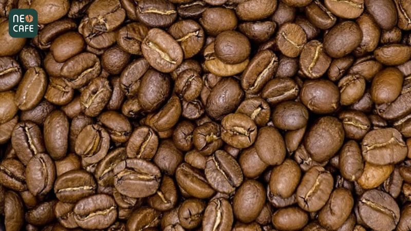 Hạt cà phê Arabica cầu Đất