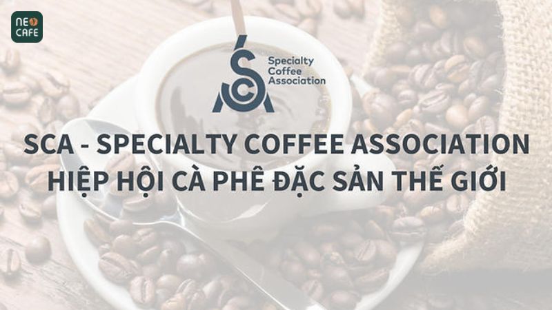 Hiệp hội cà phê đặc sản thế giới SCAA