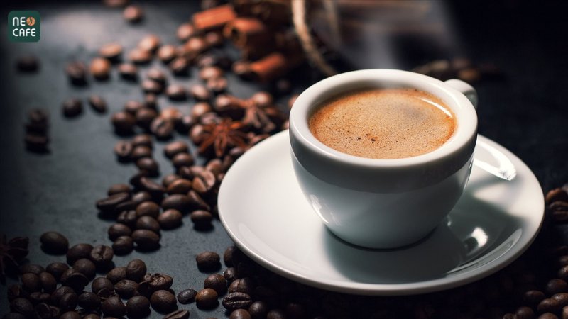 Cà phê Arabica dành cho người Sành