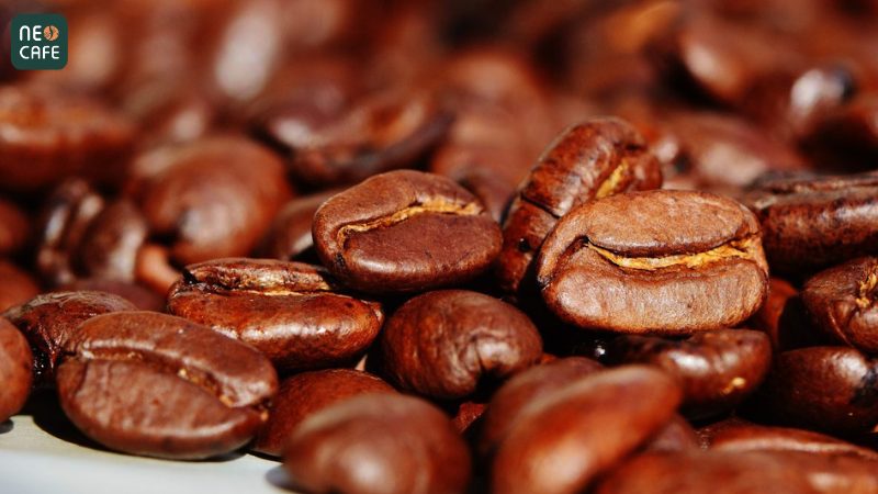 Cà phê Arabica Cầu Đất
