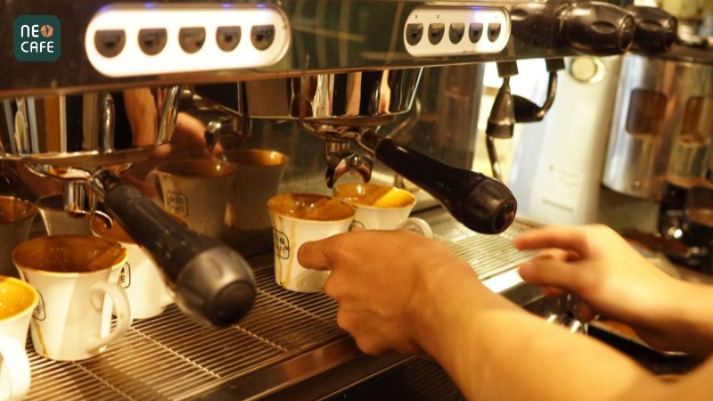 Pha máy hiện đại cà phê Arabica Lạc Dương