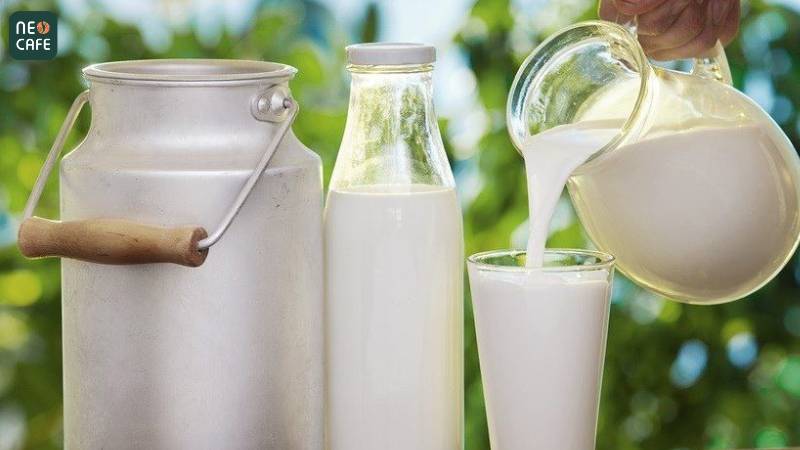 Sữa tươi tiệt trùng không đường - nguyên liệu làm cafe muối