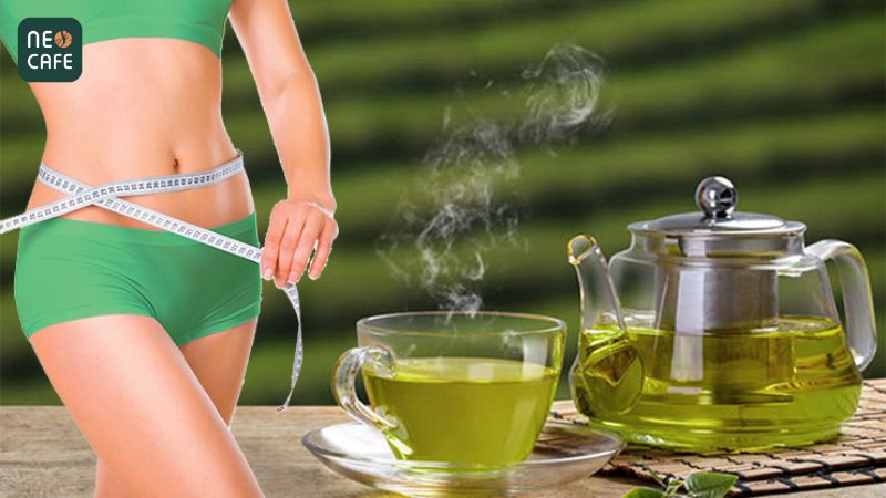 Công dụng của trà Shan đối với sức khỏe