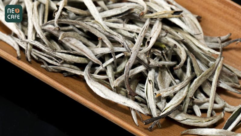 Độ quý hiếm, ít ỏi của trà Shan Tuyết