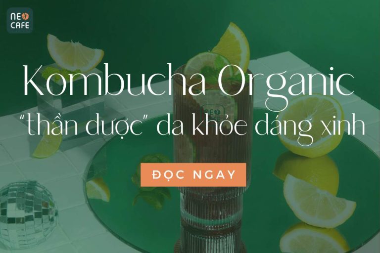 Kombucha Neo Cafe: Món Trà Healthy Thần Dược Cho Sắc Đẹp