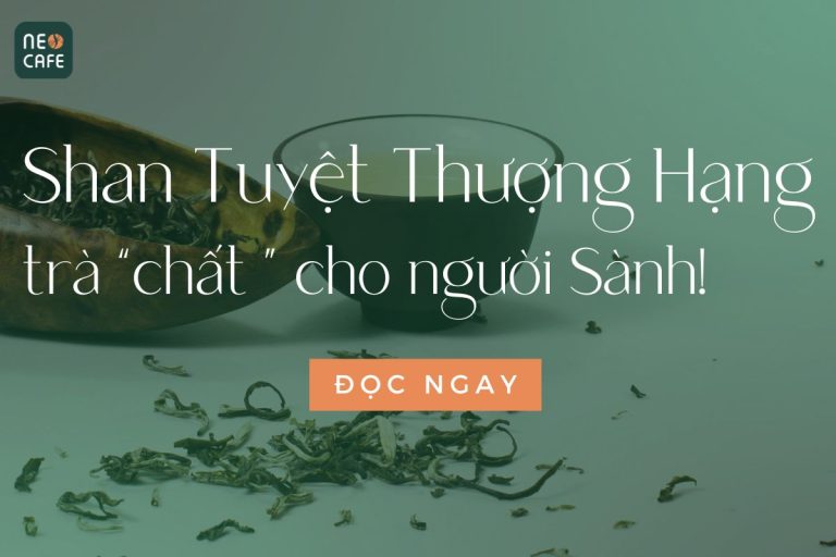 Trải Nghiệm Trà Shan Tuyết Thượng Hạng Đậm Vị Tại Neo Cafe