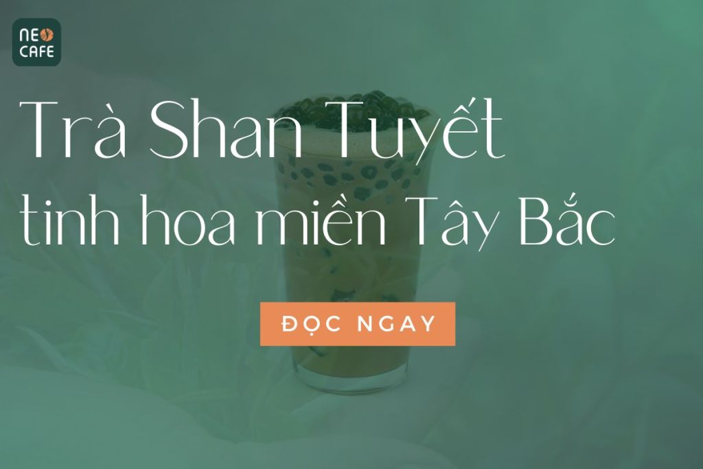 Trà Shan Tuyết: Tinh Hoa Thiên Nhiên Từ Đỉnh Núi Hà Giang